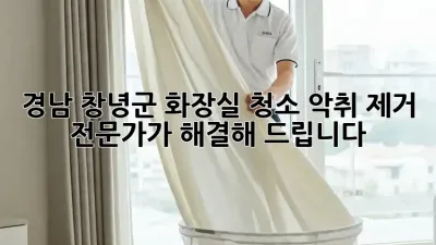 경남 창녕군 화장실 청소, 악취 제거 전문가가 해결해 드립니다!